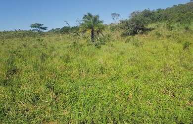 Imagem: A fazenda possui 560.000m² de Área e está localizado em