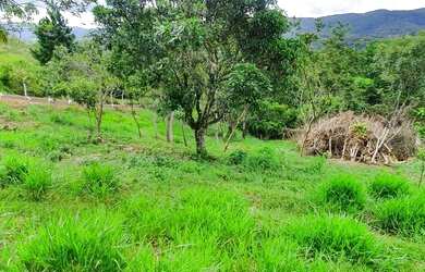 Imagem 3: Super oportunidade 103 mil reais lindo local