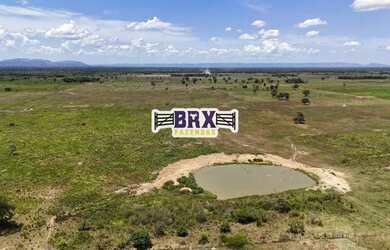 Imagem 10: Fazenda à venda ou arrendamento agrícola em Flores de Goiás