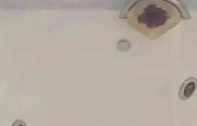 Imagem 11: Casa em Vila Mathias, Casa em Santos, Casa com 4 dorms, Casa à Venda...