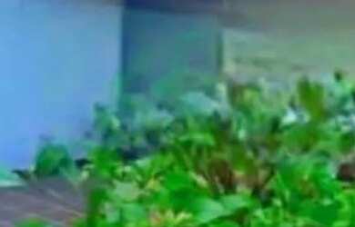 Imagem 9: Casa com 3 dormitórios para alugar, 250 m² por R$ 5.194,00/mês - Vila Industrial - Campina