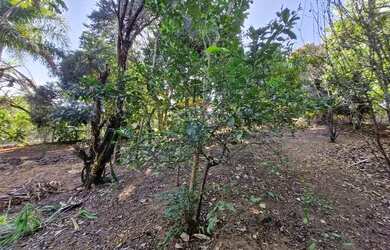 Imagem 3: Terreno 375m² no Chácara Recreio Floresta, por R$ 225.000,00 em Jaguariúna...