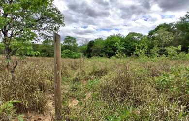 Imagem 5: TERRENO RURAL 5.264 m² - / ANTÔNIO OLINTO - MONTES CLAROS MG
