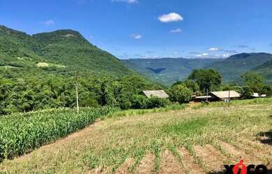 Imagem 8: Sítio / Chácara para Venda em Nova Petrópolis, Linha Pirajá Baixa
