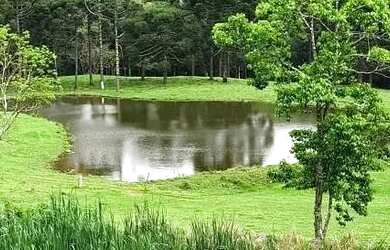 Imagem 2: Terreno para Venda em Nova Petrópolis, Linha Imperial