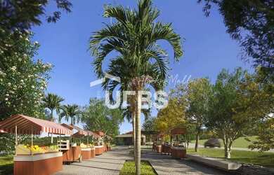 Imagem 5: Lote no Jardins Zurique. Piscina, Churrasqueirae480m² de Área