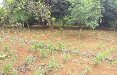 Imagem: O terreno possui 4000m² de Área e está localizado em Chácaras