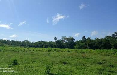 Imagem 7: Ótima oportunidade Fazenda no itã. 240 hectares