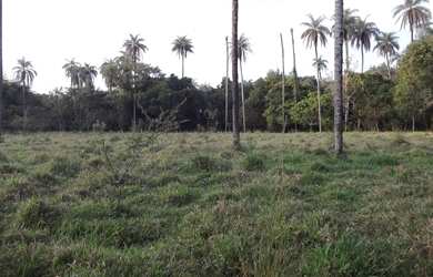 Imagem: O terreno está localizado em Jaboticatubas, MG à venda por