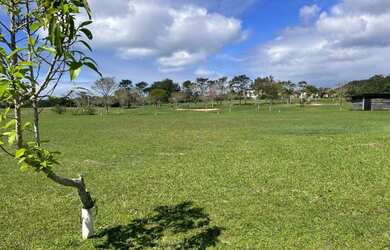 Imagem 5: Terreno à venda, 800 m² por R$ 550.000,00 - Ingleses do Rio Vermelho...