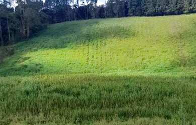 Imagem 6: Lote/Terreno para venda tem 500 metros quadrados em Jardim Japão Caucaia...