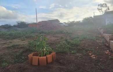 Imagem: O terreno possui 600m² de Área, Imóvel novo e está localizado