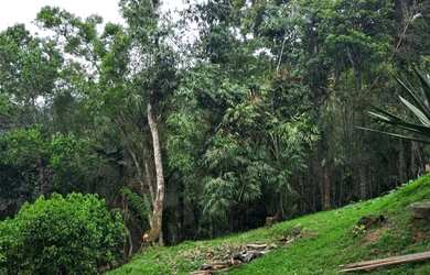 Imagem 9: 137 mil reais 2 casas luz ligada 43 mil de entrada 1600 por mes