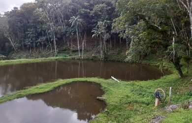 Imagem 14: 1 hectare Paulista 3 lagos mais pocilga 174 mil reais