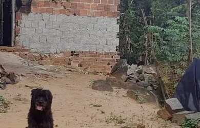 Imagem: A casa possui 2 Dormitórios, 1 Banheiro e está localizado