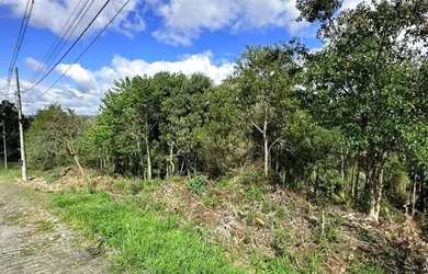 Imagem 3: CAXIAS DO SUL - Terreno Padrão - SÃO LUIZ DA 6ª LÉGUA