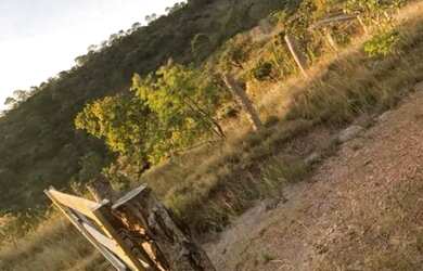 Imagem 16: Arrendo Fazenda de 18 alqueires próxima ao asfalto