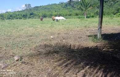 Imagem 1: Ótima oportunidade Fazenda no itã. 240 hectares