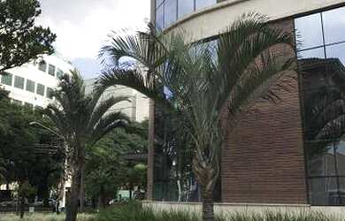 Imagem: O depósito possui 1 Vaga na garagem, 47m² de Área e está