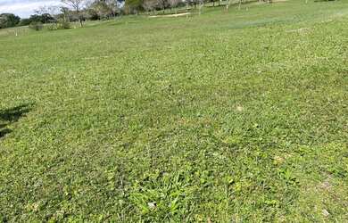 Imagem 7: Terreno à venda, 800 m² por R$ 550.000,00 - Ingleses do Rio Vermelho...