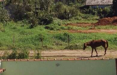 Imagem 7: Casa na praia. Imóvel mobiliado, 155m² de Área, 3 Banheirose3 Dormitórios