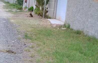 Imagem: O terreno possui 180m² de Área e está localizado em Unamar