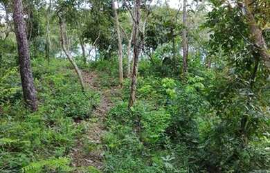 Imagem 14: Chácara Santa Luzia. Piscina, Churrasqueirae4.000m² de Área