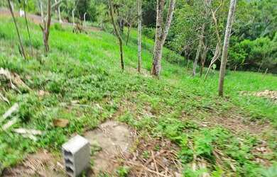 Imagem 10: Super oportunidade 103 mil reais lindo local