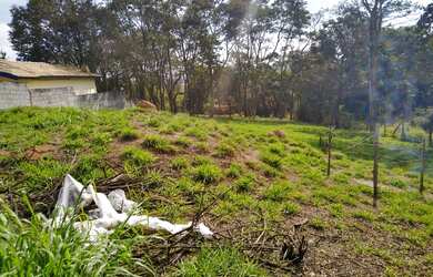 Imagem 7: Ótimo terreno para venda 1280 metros quadrados em Jardim Maracanã -...