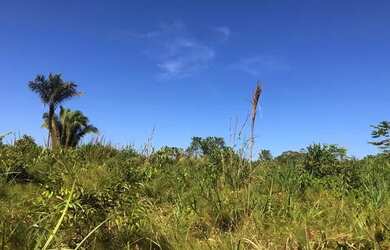 Imagem: A fazenda possui 833000m² de Área e está localizado em Rio