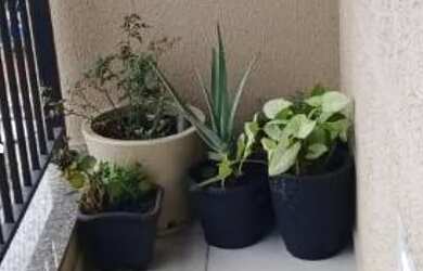 Imagem 4: Apartamento para Venda em Barueri, Votupoca, 3 dormitórios, 1 suíte,...