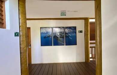 Imagem 16: APARTAMENTO LOCAÇÃO ANUAL EM PRAIA DO FORTE