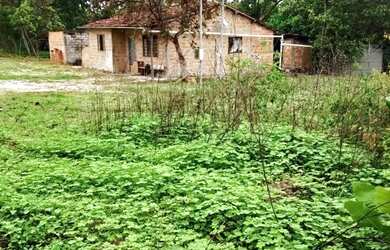 Imagem: A fazenda possui 3.730.000m² de Área e está localizado em