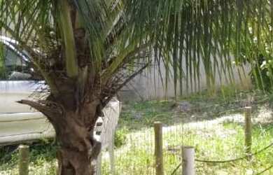 Imagem: A casa possui 1 Dormitório, 1 Banheiro, 4 Vagas na garagem