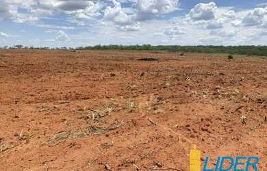 Imagem 3: Excelente fazenda dupla aptidão com 576,20 hectares à venda em Brasilândia...