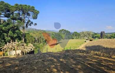 Imagem: A fazenda possui 100m² de Área e está localizado em Mandirituba