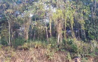 Imagem: O terreno possui 1.397m² de Área e está localizado em Jardim