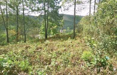 Imagem: O terreno possui 392m² de Área e está localizado em Acuruí