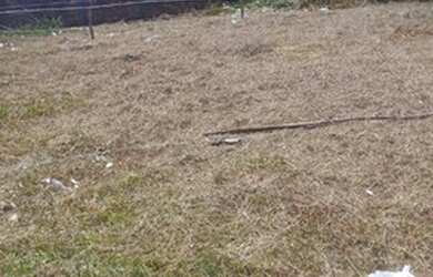 Imagem 2: Terrenos na Ilha de Itaparica/ Vera Cruz em condomínio a 200 metros da...