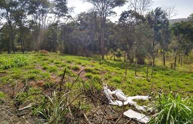 Imagem 3: Ótimo terreno para venda 1280 metros quadrados em Jardim Maracanã -...