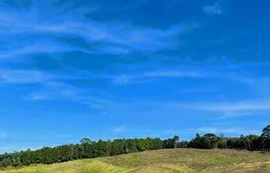 Imagem 15: Lote/Terreno para venda tem 500 metros quadrados em Jardim Japão Caucaia...