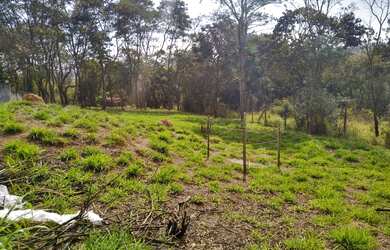 Imagem 6: Ótimo terreno para venda 1280 metros quadrados em Jardim Maracanã -...