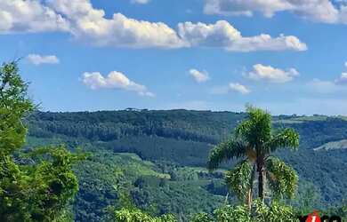 Imagem 3: Sítio / Chácara para Venda em Nova Petrópolis, Pinhal Alto, 3 dormitórios,...
