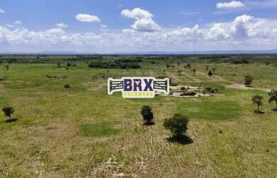 Imagem 6: Fazenda à venda ou arrendamento agrícola em Flores de Goiás
