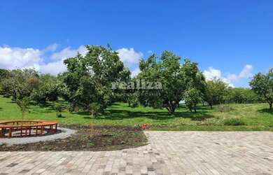 Imagem 7: TERRENO EM GRAMADO. 800m² de Área