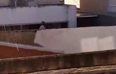 Imagem 11: Casa à Venda - Jardim Mangueiral, Quadra 04