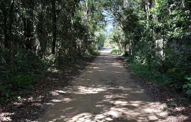 Imagem: A casa possui 1 Dormitório, 1 Banheiro e 1032m² de Área e