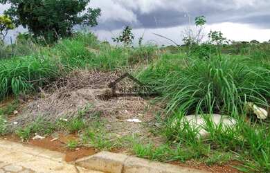 Imagem: O terreno possui 608m² de Área e está localizado em Alto