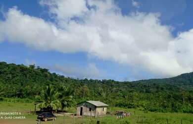 Imagem 4: Ótima oportunidade Fazenda no itã. 240 hectares