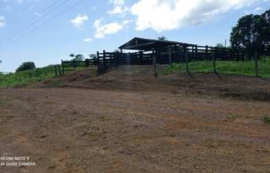 Imagem 11: Ótima oportunidade Fazenda no itã. 240 hectares
